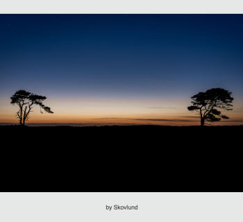 Kunstpostkort - Enkelte