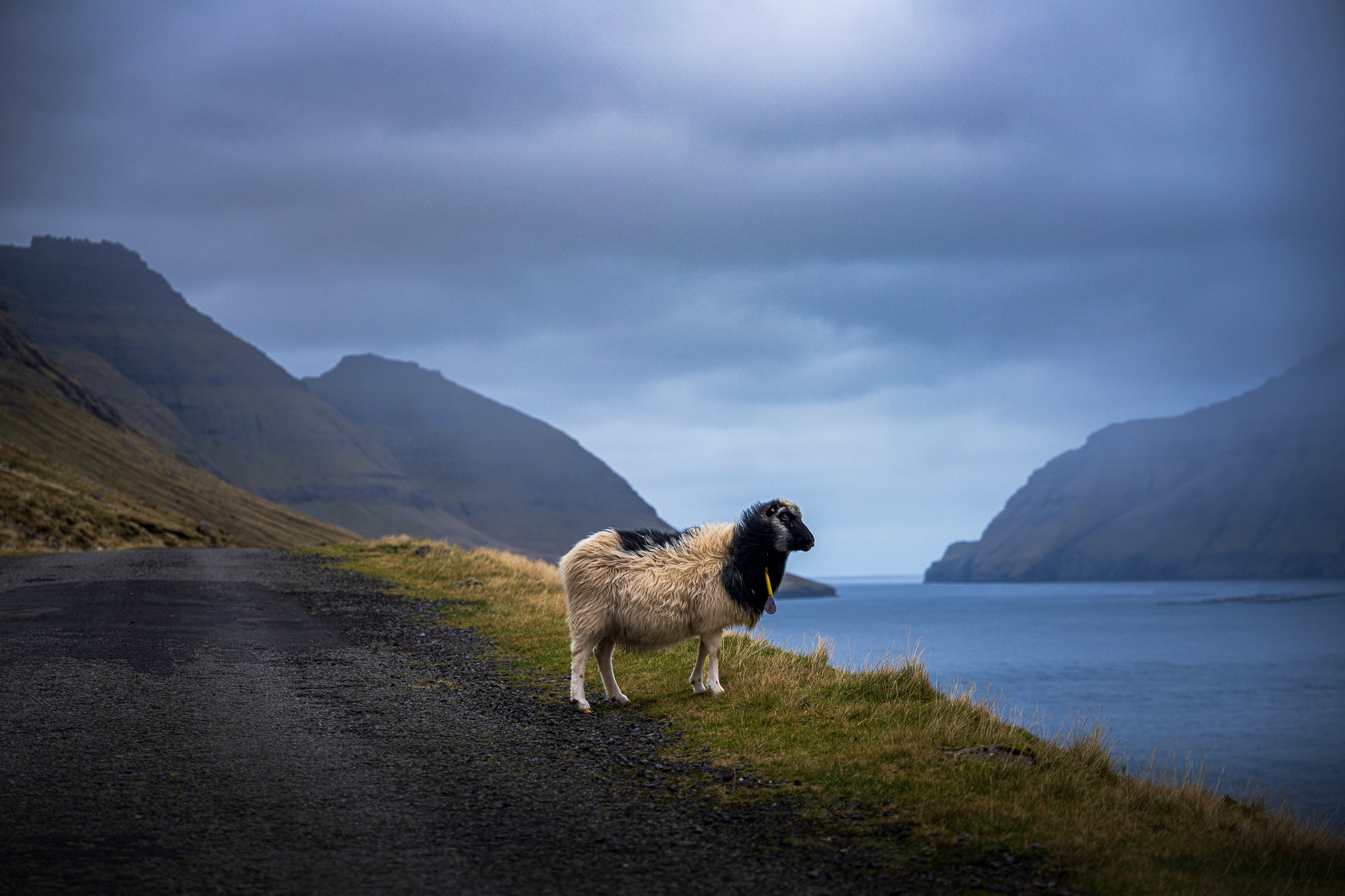 Stories from the Faroe Islands