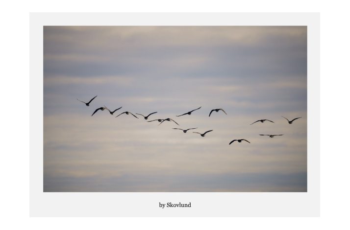 Femten � Ryler i luften, Mand�