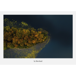 6 kunstpostkort fra Silkeborgs s�- og skovlandskaber