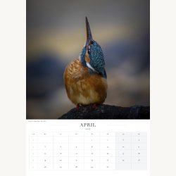 Forudbestilling af kalender 2027 � Stemninger fra Vejle &amp; omegn � A3