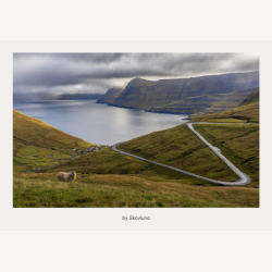 6 kunstkort fra F�r�erne � Landskab &amp; Linjer