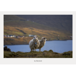 6 kunstpostkort fra F�r�ernes - Stille landskaber