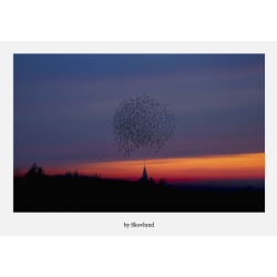 6 kunstkort fra Vadehavet - Sort sol � former og bev�gelse