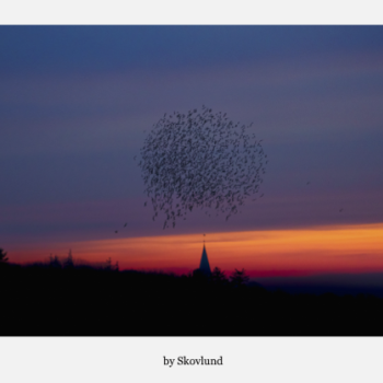 Danser ind i natten, Aventoft