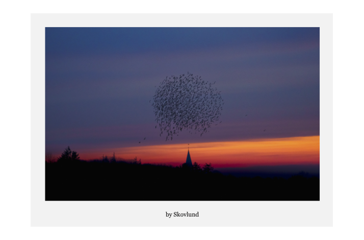 Danser ind i natten, Aventoft