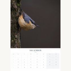 Forudbestilling af kalender 2027 � Stemninger fra Vejle &amp; omegn � A3