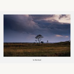 6 kunstkort fra Vejle - landskaber og byrum