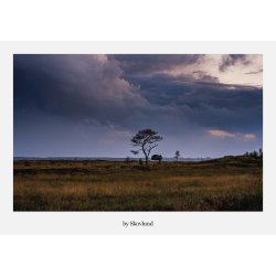 6 kunstpostkort fra Vejles landskaber og byrum