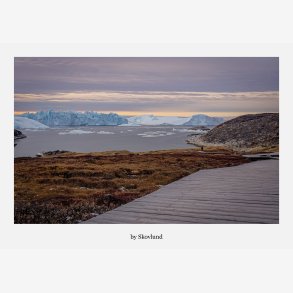 Gr�nlandsk stilhed &ndash; fjord med isbjerge, arktisk landskab og tr�sti i forgrunden, A5 kunstpostkort fra Gr�nland.