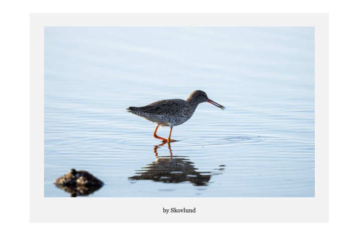 I spisekammeret, Mand�