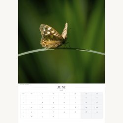 Forudbestilling af kalender 2027 � Stemninger fra Vejle &amp; omegn � A3