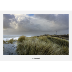 6 kunstkort fra Vadehavet - Lys og landskab