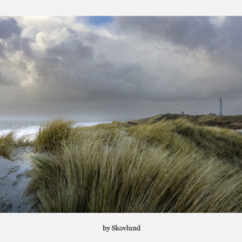 Lys i klitterne, Bl�vandshuk