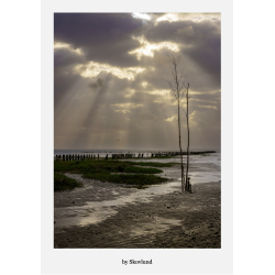 6 kunstkort fra Vadehavet - Lys og landskab