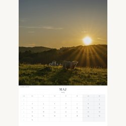 Forudbestilling af kalender 2027 � Stemninger fra Vejle &amp; omegn � A3