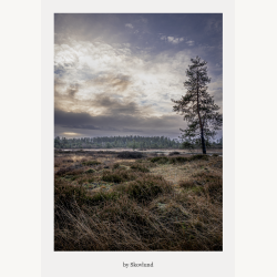�bent hedelandskab ved Syv�rss�erne med lyng, lav horisont og dramatisk himmel i skiftende lys.