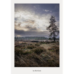 �bent hedelandskab ved Syv�rss�erne med lyng, lav horisont og dramatisk himmel i skiftende lys.