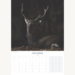 Forudbestilling af kalender 2027 � Stemninger fra Vejle &amp; omegn � A3