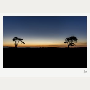 Tosomhed p� heden � Fine Art fotoplakat uden stednavn