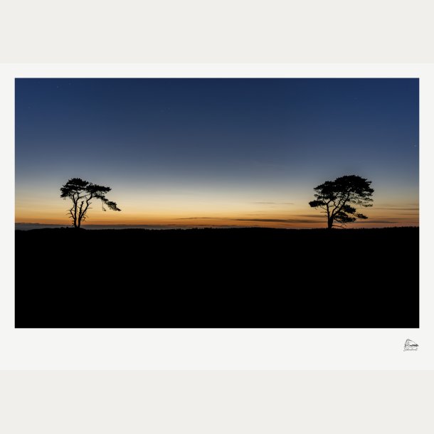 Tosomhed p� heden � Fine Art fotoplakat uden stednavn