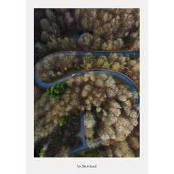 Snoet vej ved Munkebjerg i Vejle, der f�rer gennem skov og landskab i roligt lys med fokus p� bev�gelse og retning.