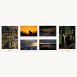 Skabt i Vejle postkortpakke med seks kunstpostkort fra Vejle, der viser landskab, dyreliv og stemninger med fokus p� natur, stilhed og bev�gelse
