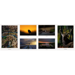 Skabt i Vejle postkortpakke med seks kunstpostkort fra Vejle, der viser landskab, dyreliv og stemninger med fokus p� natur, stilhed og bev�gelse