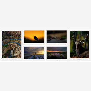 Skabt i Vejle postkortpakke med seks kunstpostkort fra Vejle, der viser landskab, dyreliv og stemninger med fokus p� natur, stilhed og bev�gelse