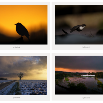 Skabt i Vejle postkortpakke med seks kunstpostkort fra Vejle, der viser landskab, dyreliv og stemninger med fokus p� natur, stilhed og bev�gelse