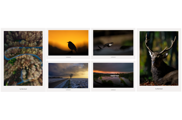 Skabt i Vejle postkortpakke med seks kunstpostkort fra Vejle, der viser landskab, dyreliv og stemninger med fokus p� natur, stilhed og bev�gelse