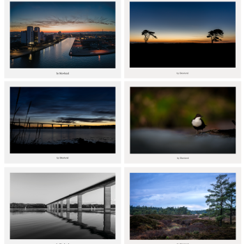 Vejle Havn i golden hour med varmt aftenslys, spejlinger i vandet og byens silhuet i rolig overgang mellem dag og nat.