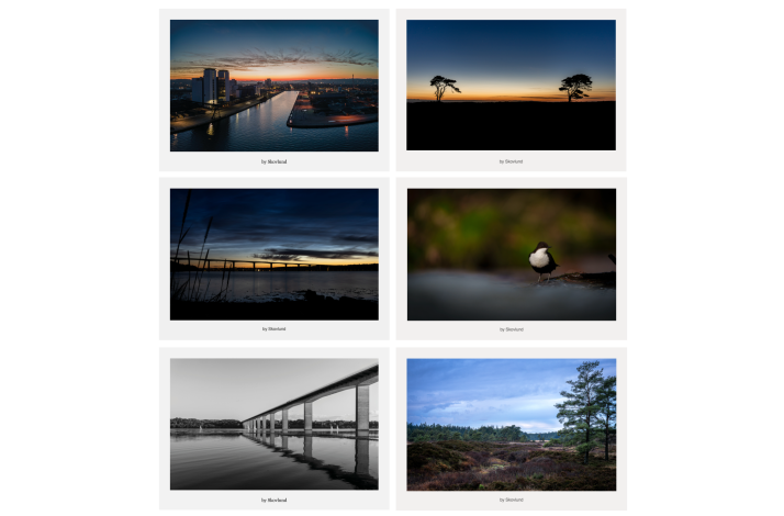 Vejle Havn i golden hour med varmt aftenslys, spejlinger i vandet og byens silhuet i rolig overgang mellem dag og nat.