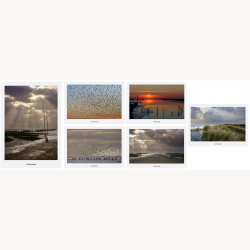 Postkortpakke fra Vadehavet med 6 A5 kunstpostkort i nordisk naturfotografi Vadehavet &ndash; natur og dyreliv samlet i gave�ske med 6 A5 kunstpostkort Nordisk naturfotografi fra Vadehavet &ndash; kunstpostkort med landskab og fugle