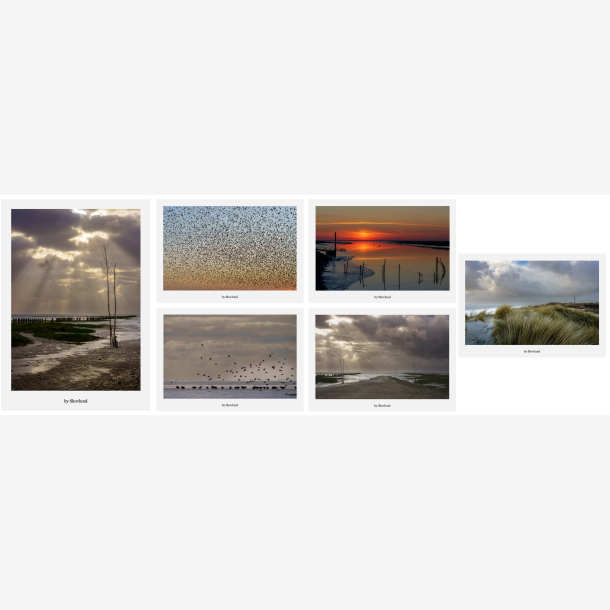 Postkortpakke fra Vadehavet med 6 A5 kunstpostkort i nordisk naturfotografi Vadehavet &ndash; natur og dyreliv samlet i gave�ske med 6 A5 kunstpostkort Nordisk naturfotografi fra Vadehavet &ndash; kunstpostkort med landskab og fugle