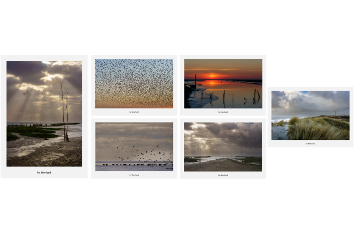 Postkortpakke fra Vadehavet med 6 A5 kunstpostkort i nordisk naturfotografi Vadehavet &ndash; natur og dyreliv samlet i gave�ske med 6 A5 kunstpostkort Nordisk naturfotografi fra Vadehavet &ndash; kunstpostkort med landskab og fugle