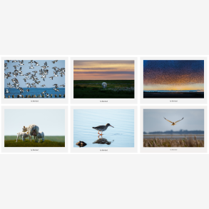 Postkortpakke fra Vadehavet med 6 A5 kunstpostkort i nordisk naturfotografi Vadehavet &ndash; natur og dyreliv samlet i gave�ske med 6 A5 kunstpostkort Nordisk naturfotografi fra Vadehavet &ndash; kunstpostkort med landskab og fugle