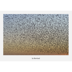 6 kunstkort fra Vadehavet - Lys og landskab