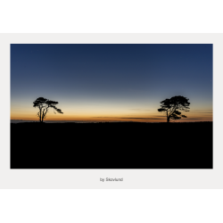 Solnedgang over heden n�r Vejle med varme farver, silhuetter og rolig horisont.