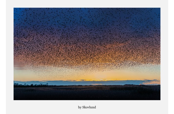 Sort sol �Mange st�re�, Aventoft