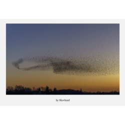 6 kunstkort fra Vadehavet - Sort sol � former og bev�gelse