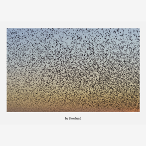 Som stjerner p� himlen, Aventoft