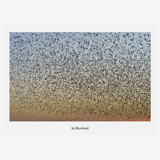 Som stjerner p� himlen, Aventoft