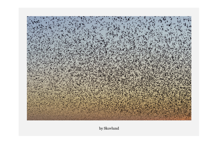 Som stjerner p� himlen, Aventoft