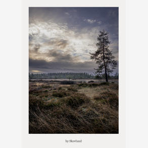 Mellem lys og lyng, Syv�rss�erne