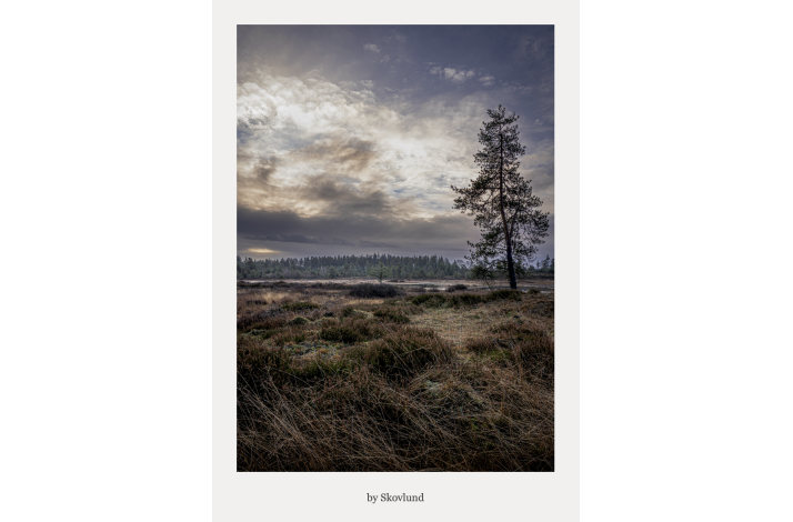 Mellem lys og lyng, Syv�rss�erne