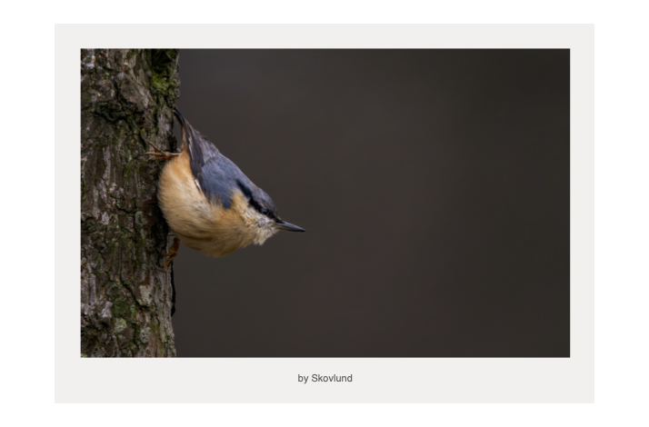  Et �ndedrag i barken