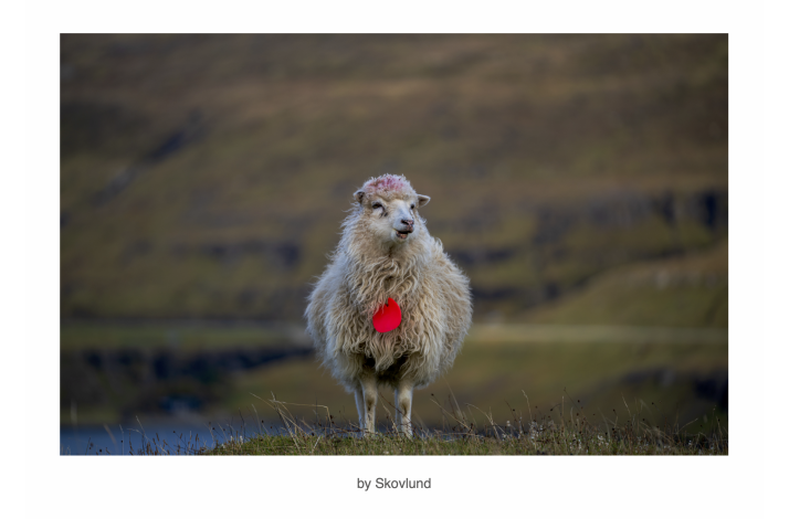 Bygdens bl�de ambassad�r