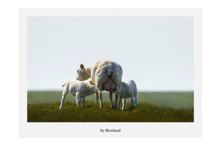 Mobil m�lkebar, Mand�