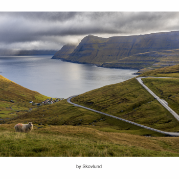 Mellem fjord og himmel